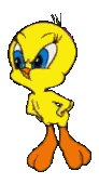 Gifs animés titi pas content